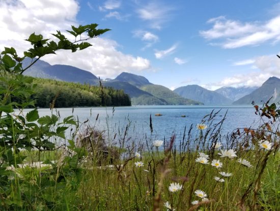 Glendale Cove, Knight Inlet