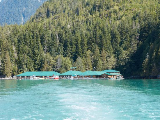 Knight Inlet Lodge, Great Bear Rainforest