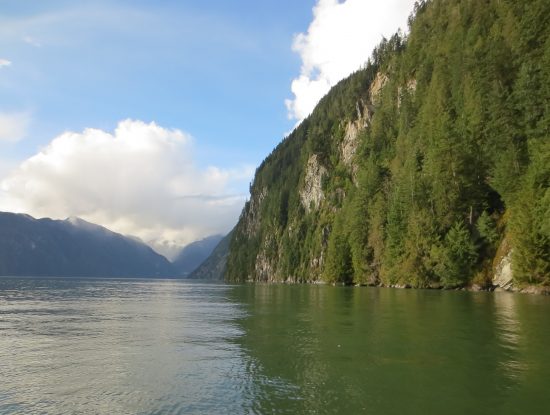 Knight Inlet marine tour