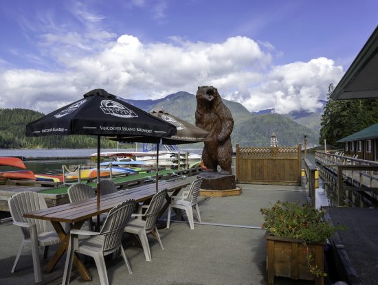 grizzly bear viewing lodge Knight Inlet