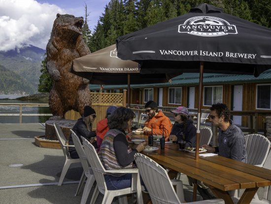 grizzly bear viewing Lodge