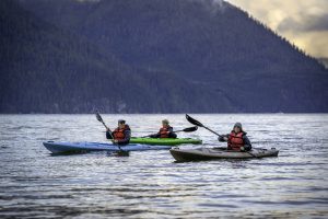 kayaking in Glendale Cove