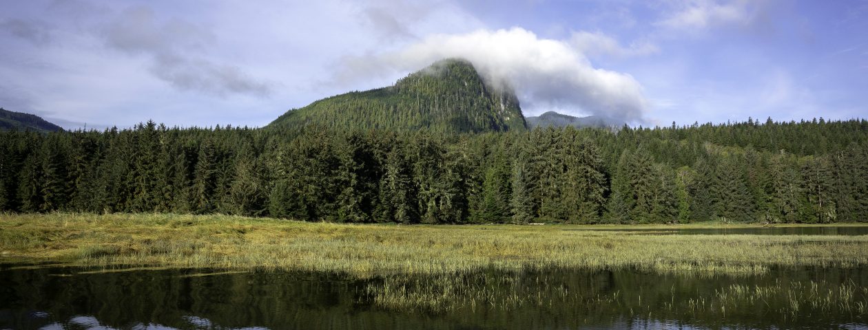 Glendale Cove, Great Bear rainforest