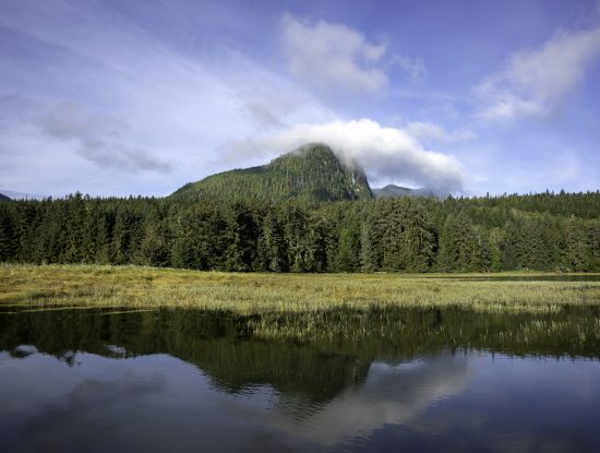 Glendale Cove, Great Bear rainforest