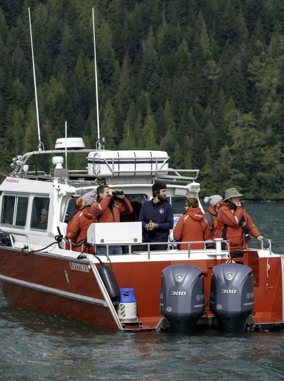Knight Inlet Lodge whale watching tour boat