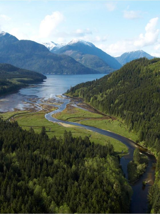 Glendale Cove, Knight Inlet, Great Bear Rainforest