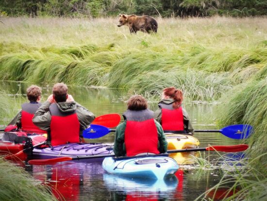 Kayak with the bears